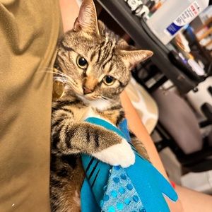 Meet your Posher, John laurence